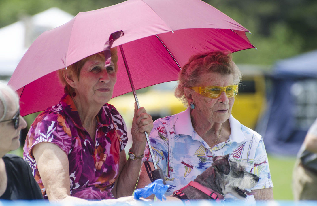 062215-nws-woofstock07.jpg